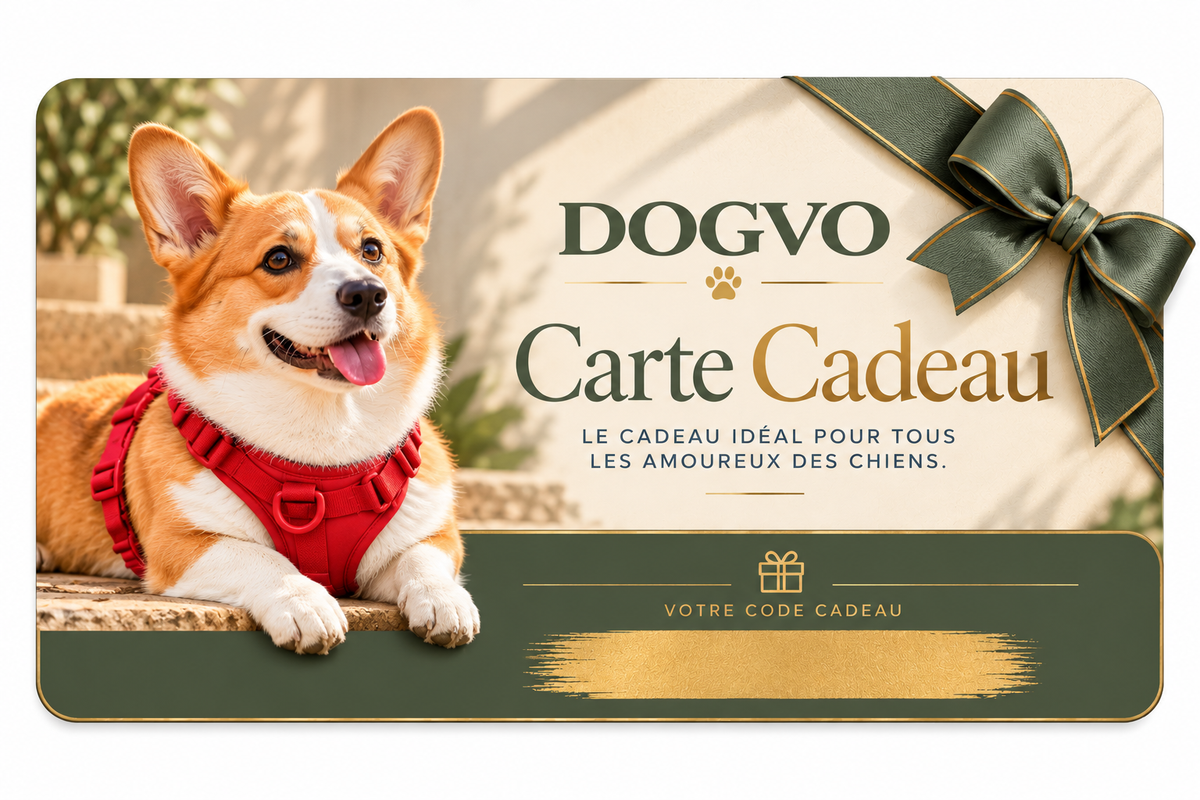 Carte cadeaux DOGVO