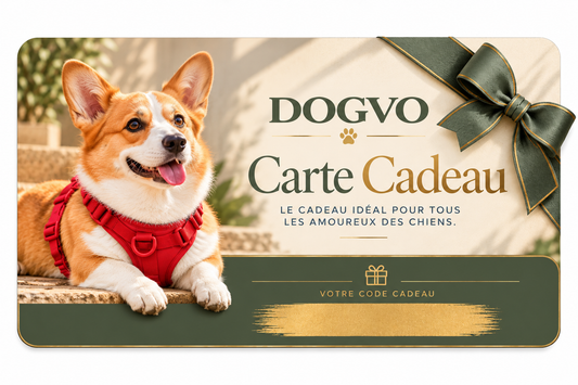 Carte cadeaux DOGVO