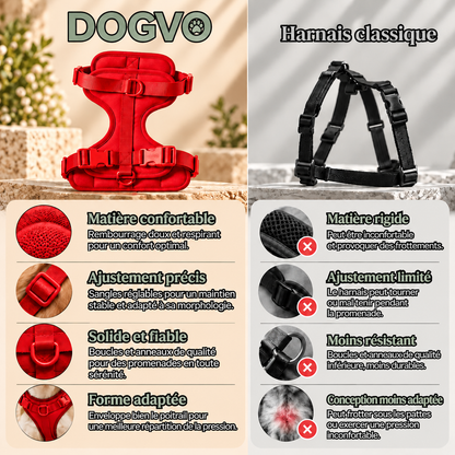 Harnais DOGVO