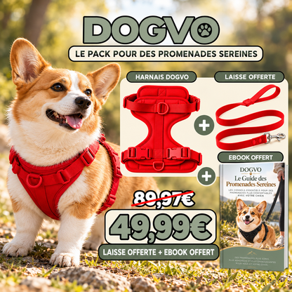 Harnais DOGVO