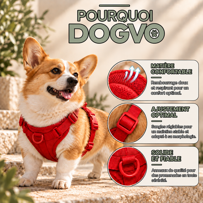 Harnais DOGVO