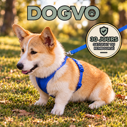 Harnais DOGVO